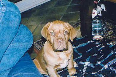 Timba - 3 months