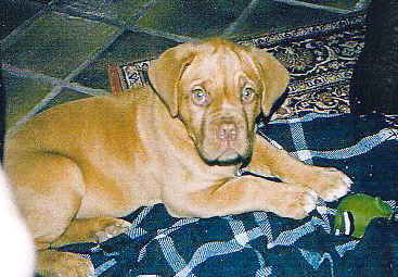 Timba - 3 months